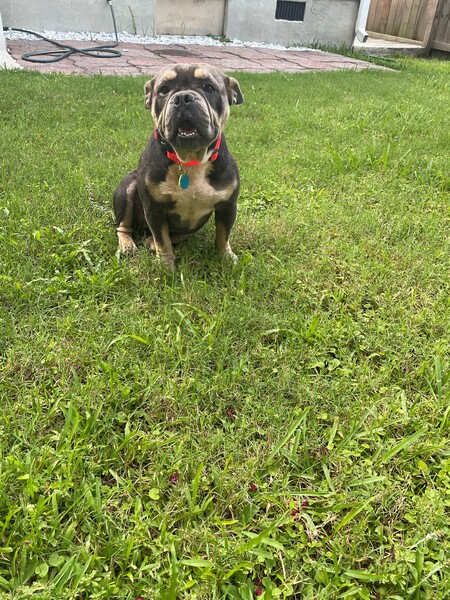 Entry image for Cash. Clicking this image will show a larger photo