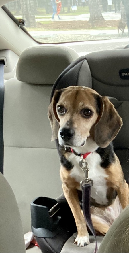 Entry image for Dallas. Clicking this image will show a larger photo