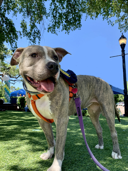 Entry image for Maddie. Clicking this image will show a larger photo