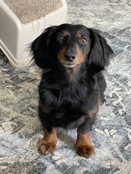 Entry image for Charlie. Clicking this image will show a larger photo