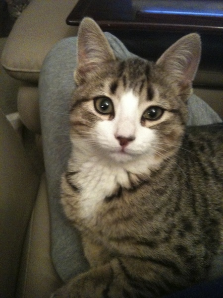 Entry image for Rudy. Clicking this image will show a larger photo