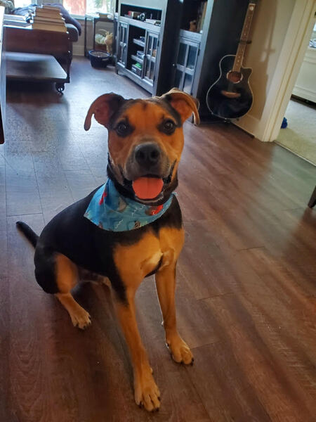 Entry image for Fowler. Clicking this image will show a larger photo