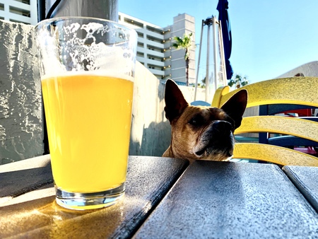 Entry image for Sophie. Clicking this image will show a larger photo