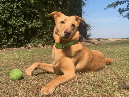 Entry image for Leeloo Dallas. Clicking this image will show a larger photo