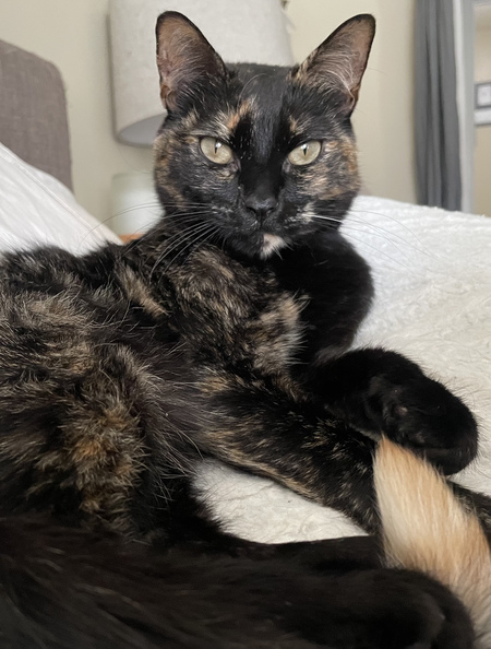 Entry image for Winona. Clicking this image will show a larger photo