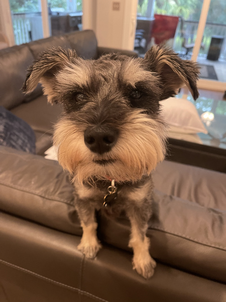 Entry image for Turbo aka junkyard . Clicking this image will show a larger photo