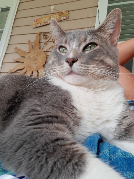 Entry image for Whiskey. Clicking this image will show a larger photo