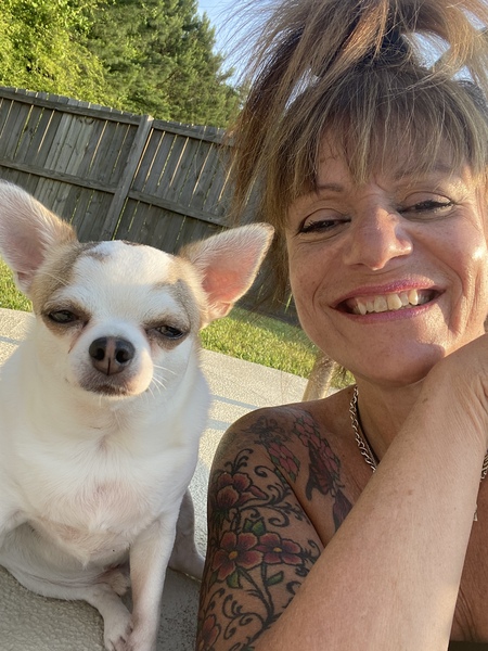 Entry image for Elvis. Clicking this image will show a larger photo