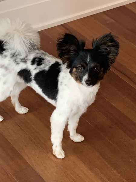 Entry image for Matteo. Clicking this image will show a larger photo