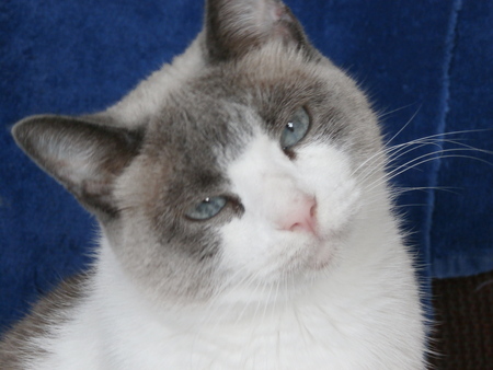 Entry image for Folly. Clicking this image will show a larger photo