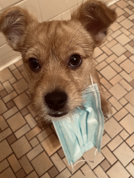 Entry image for Boston. Clicking this image will show a larger photo