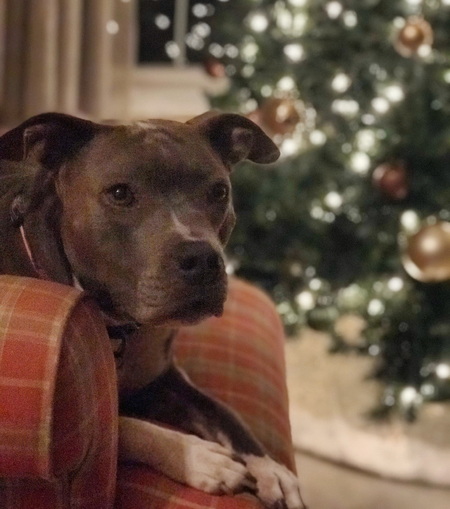 Entry image for Skai. Clicking this image will show a larger photo