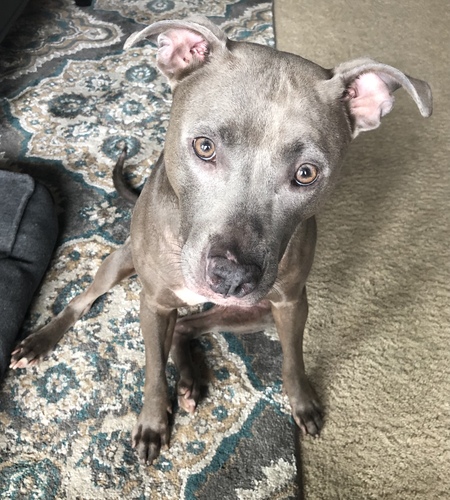 Entry image for Maddie. Clicking this image will show a larger photo