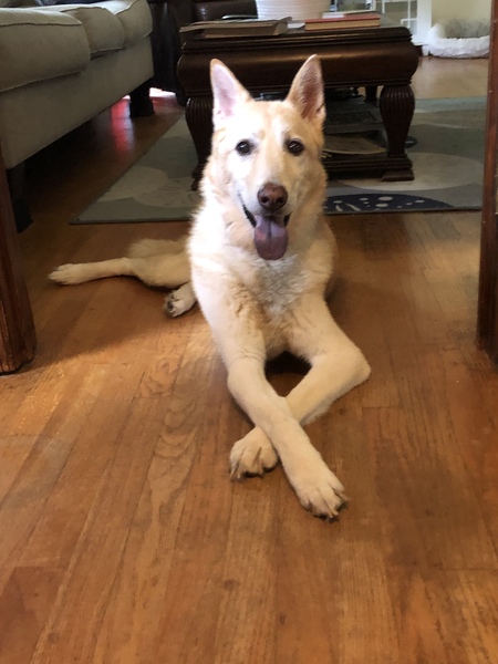 Entry image for Dundee. Clicking this image will show a larger photo