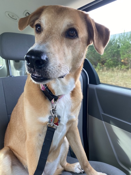 Entry image for Friday . Clicking this image will show a larger photo