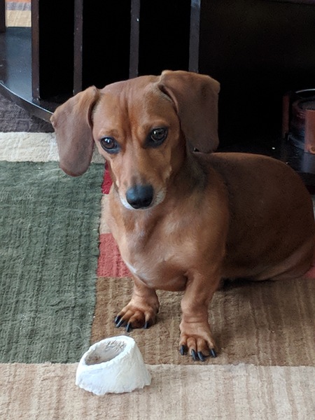 Entry image for Noodle. Clicking this image will show a larger photo