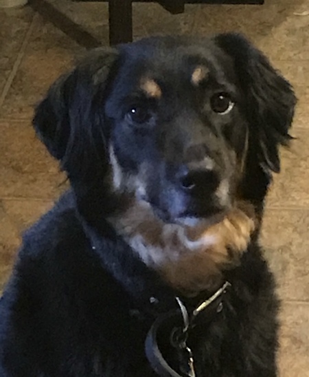 Entry image for Max. Clicking this image will show a larger photo