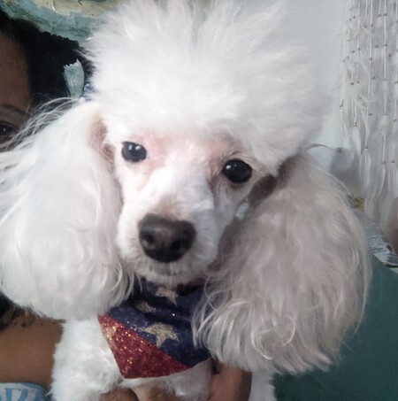 Entry image for Gianna. Clicking this image will show a larger photo