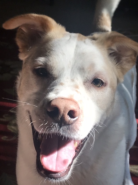 Entry image for Tucker . Clicking this image will show a larger photo