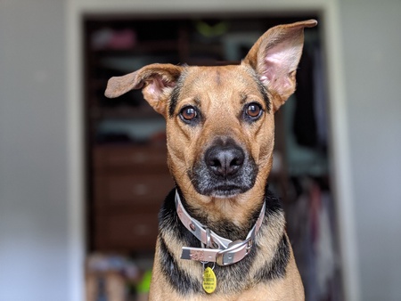 Entry image for Oakley. Clicking this image will show a larger photo