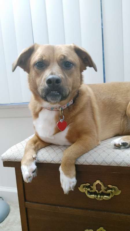 Entry image for Anya. Clicking this image will show a larger photo