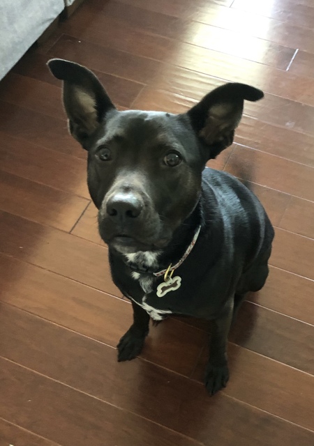 Entry image for Mayfield. Clicking this image will show a larger photo