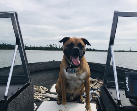 Entry image for Dennis  Tank . Clicking this image will show a larger photo