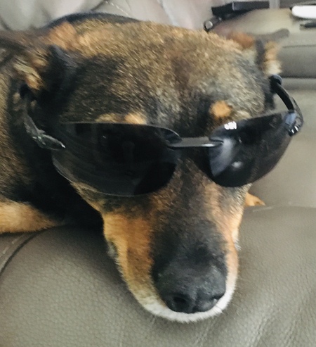 Entry image for Mick. Clicking this image will show a larger photo