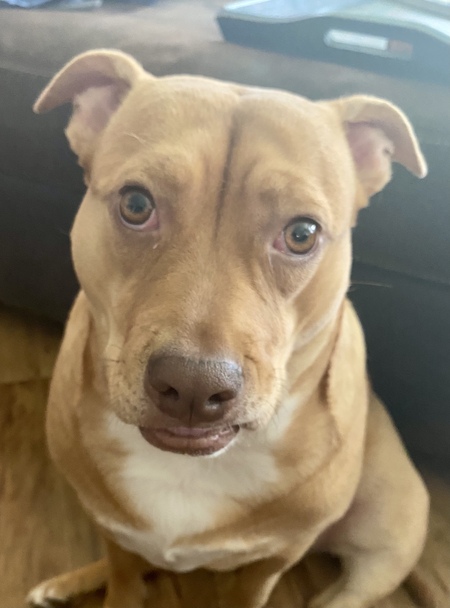 Entry image for Penelope . Clicking this image will show a larger photo