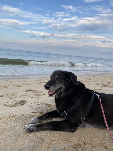 Entry image for Colbie. Clicking this image will show a larger photo