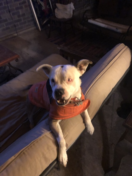 Entry image for Benny Lynn. Clicking this image will show a larger photo