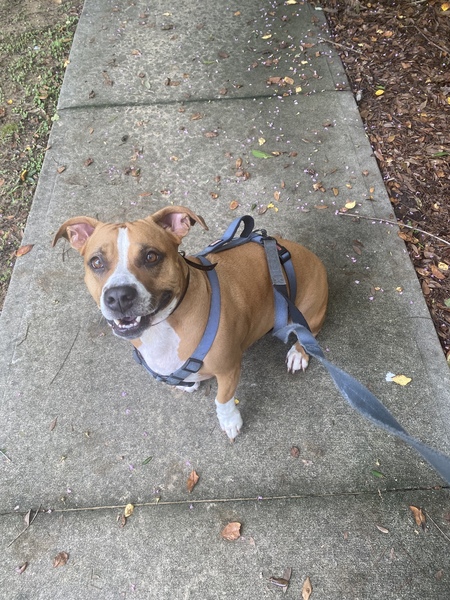 Entry image for Willow Martin. Clicking this image will show a larger photo