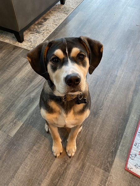 Entry image for Sheldon. Clicking this image will show a larger photo