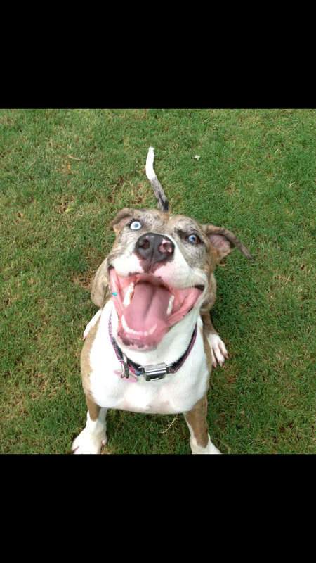 Entry image for Birdie Grace . Clicking this image will show a larger photo