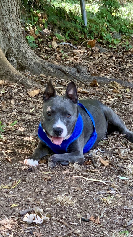 Entry image for Mina. Clicking this image will show a larger photo