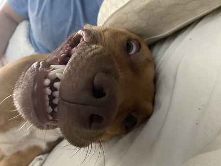 Entry image for Milly. Clicking this image will show a larger photo