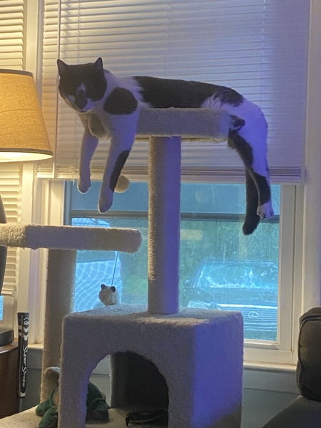 Entry image for Timothy Pipes. Clicking this image will show a larger photo