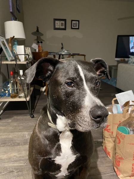 Entry image for Cash. Clicking this image will show a larger photo