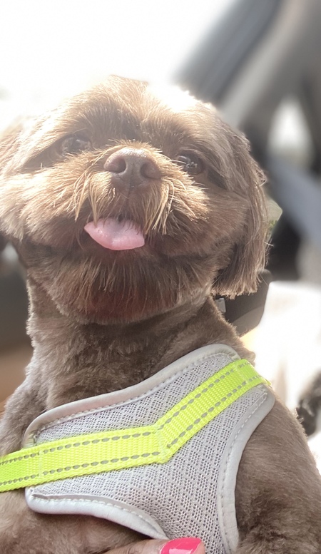 Entry image for Hershey . Clicking this image will show a larger photo