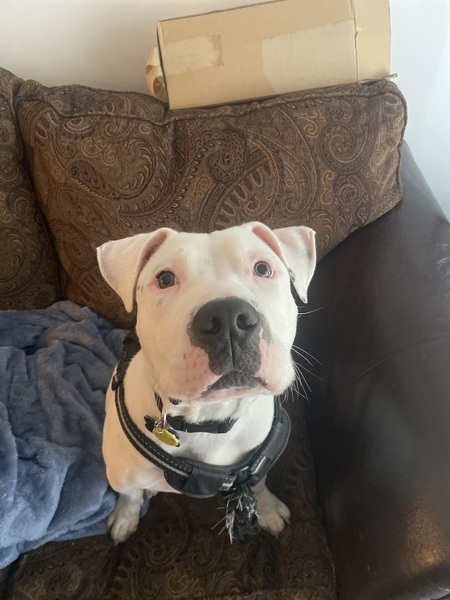 Entry image for Poseidon . Clicking this image will show a larger photo