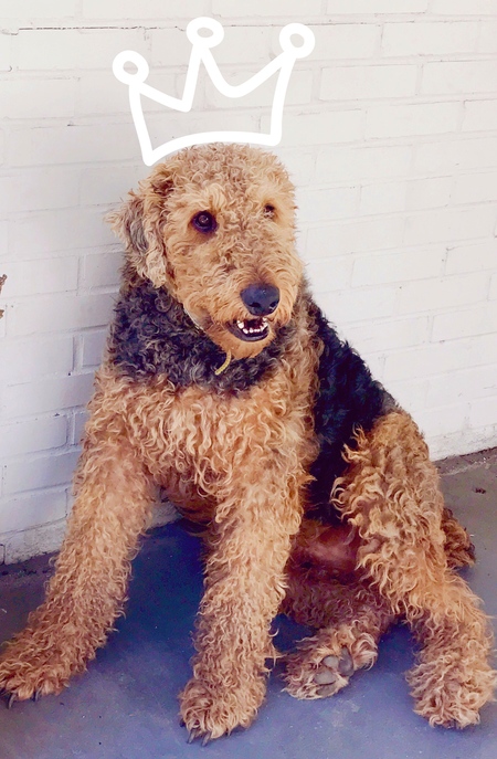 Entry image for Moses. Clicking this image will show a larger photo