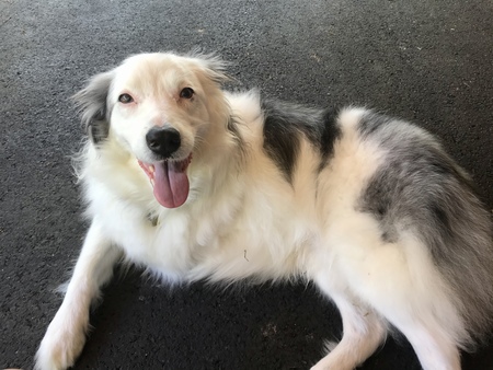 Entry image for Jesse. Clicking this image will show a larger photo