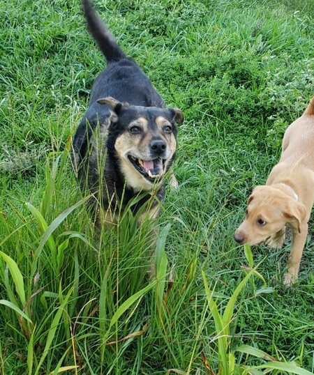 Entry image for Zosia. Clicking this image will show a larger photo