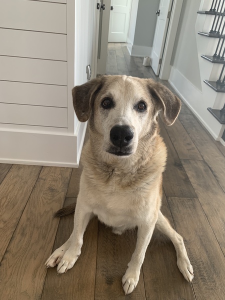 Entry image for Camden. Clicking this image will show a larger photo