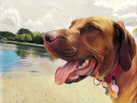 Entry image for Hitch. Clicking this image will show a larger photo