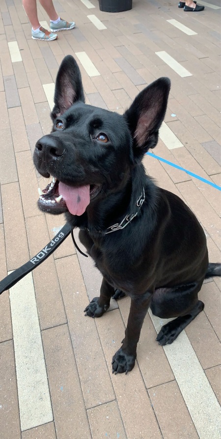 Entry image for Dallas. Clicking this image will show a larger photo