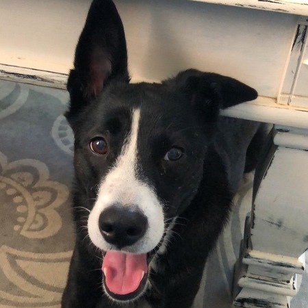 Entry image for Charlotte . Clicking this image will show a larger photo