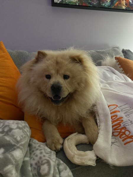 Entry image for Stone. Clicking this image will show a larger photo