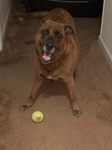 Entry image for Mia. Clicking this image will show a larger photo