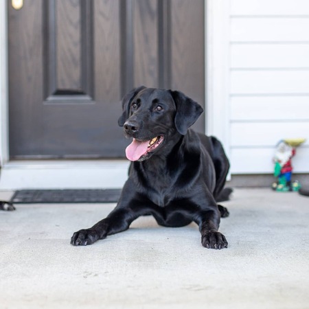 Entry image for Skeeter. Clicking this image will show a larger photo